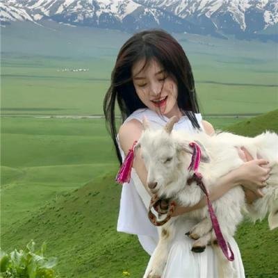 砖墙谜攻 封面