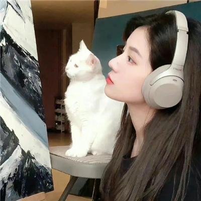 冬天的女子 封面